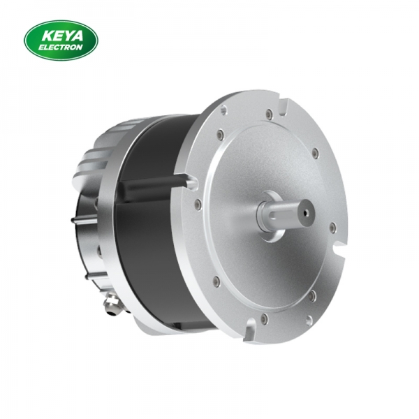 米兰网页版215系列48V 4000W 1500RPM